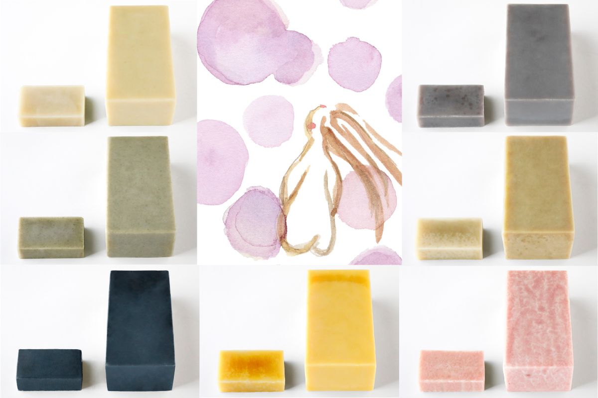 chitree organic 専用ページ chitree organic chitree organic