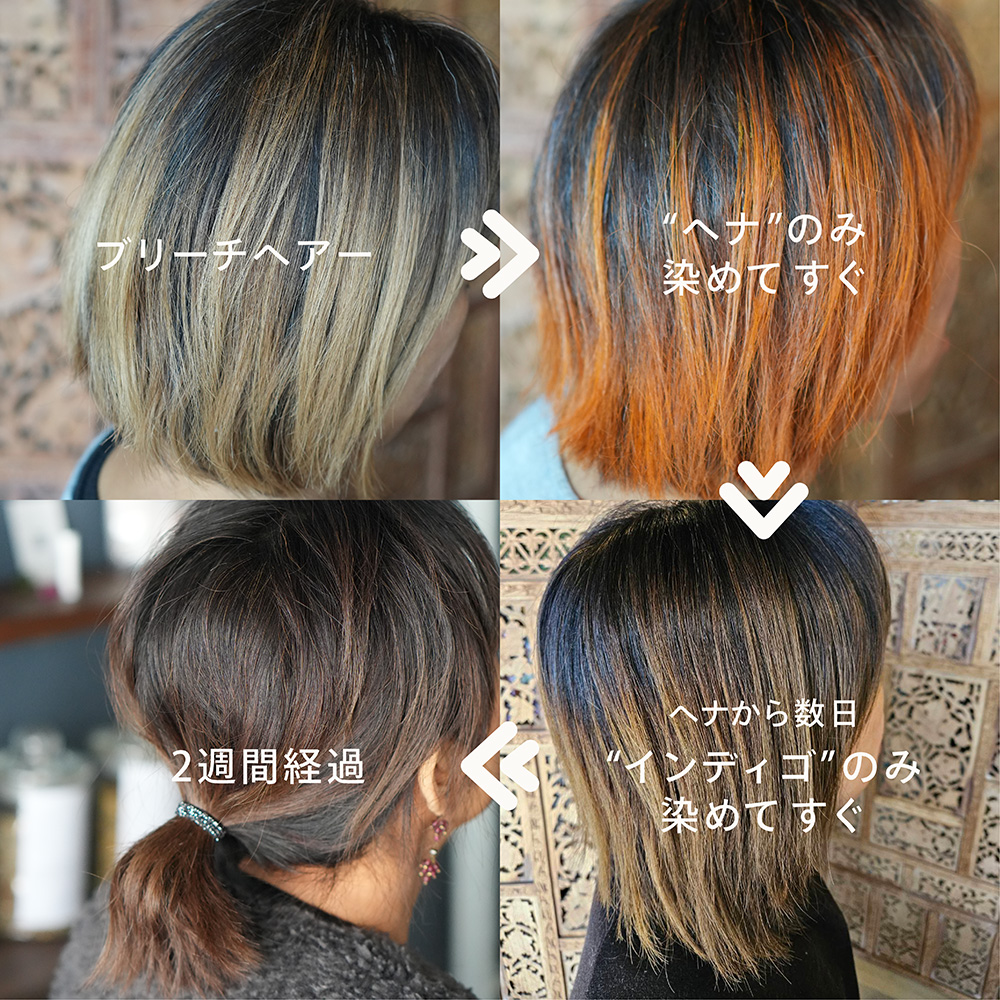 chitree organic 沖縄で育ったヘナ&インディゴ