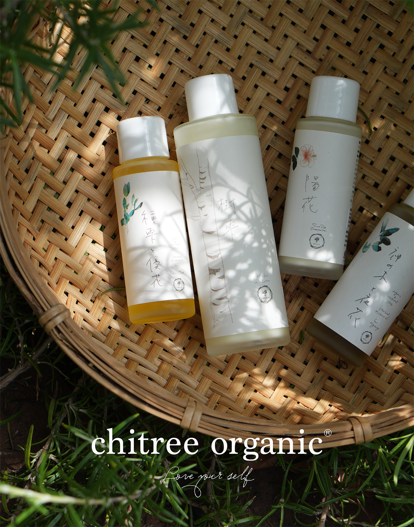 chitree organic chitree organic
